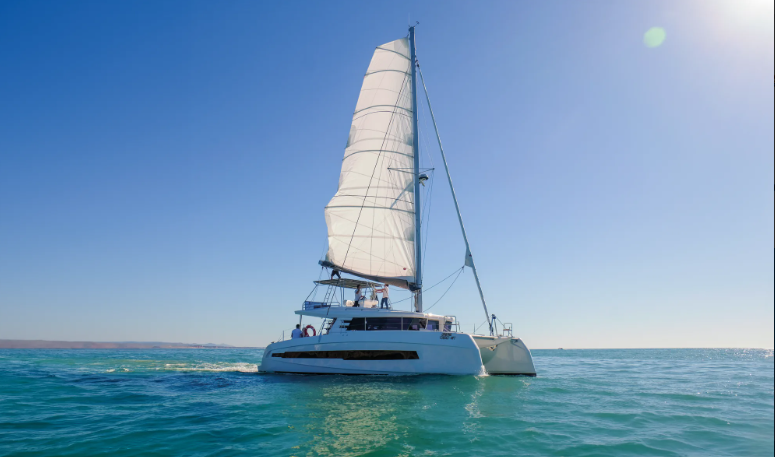 Catamaran Cruise from Albufeira Marina Unwind